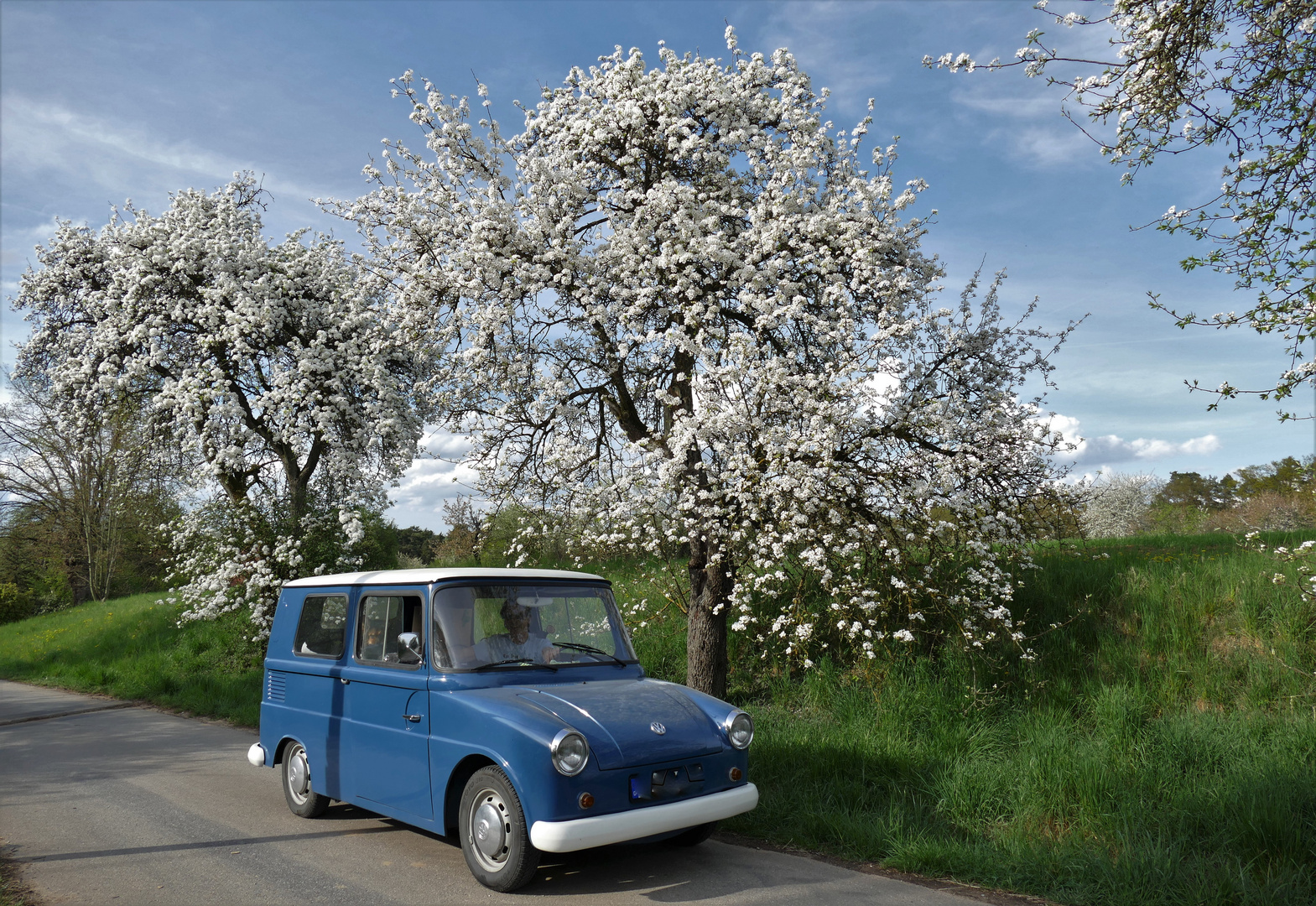 VW Fridolin