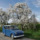 VW Fridolin