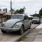 VW Fusca / VW Passat