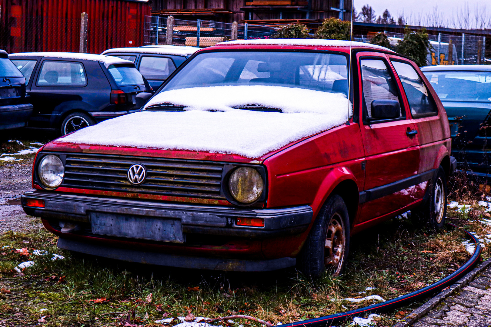 VW Golf