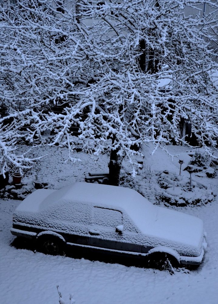 VW-Jetta an einem weißen Wintermorgen