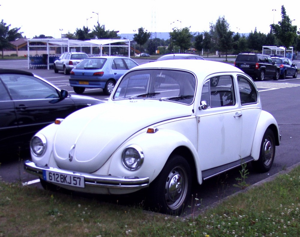 VW-Käfer (1)