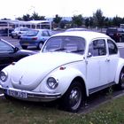 VW-Käfer (1)