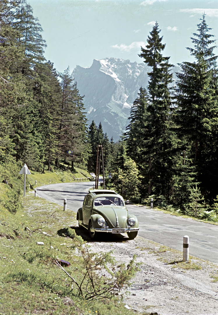 VW Käfer 1955 in freier Wildbahn