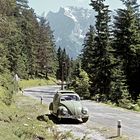 VW Käfer 1955 in freier Wildbahn