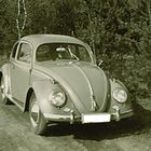 VW Käfer 1959