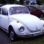 VW-Käfer (2)