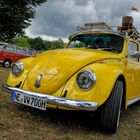 VW Käfer