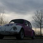 VW-Käfer ^^
