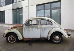 VW Käfer