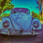 VW Käfer @ Balboa Park