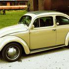 VW Käfer beim Oltimertreffen Zollverein
