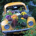 VW Käfer Blumenbeet