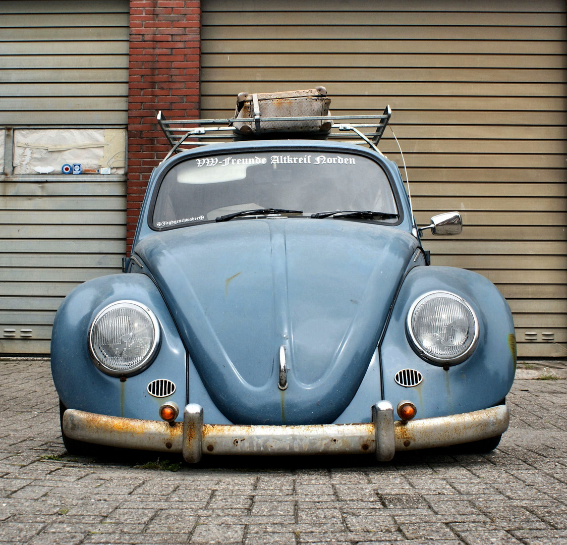 VW Käfer