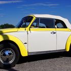 VW Käfer-Cabriolet