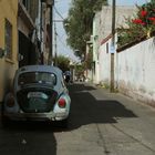 VW Käfer in Weiß in Xochimilco-México DF