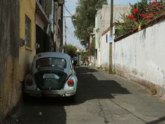 VW Käfer in Weiß in Xochimilco-México DF