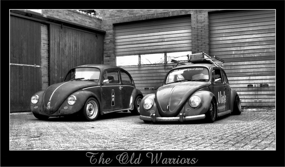 VW Käfer The Old Warriors