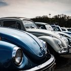 VW Käfer Treffen