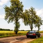 VW Scirocco GT "on the road"