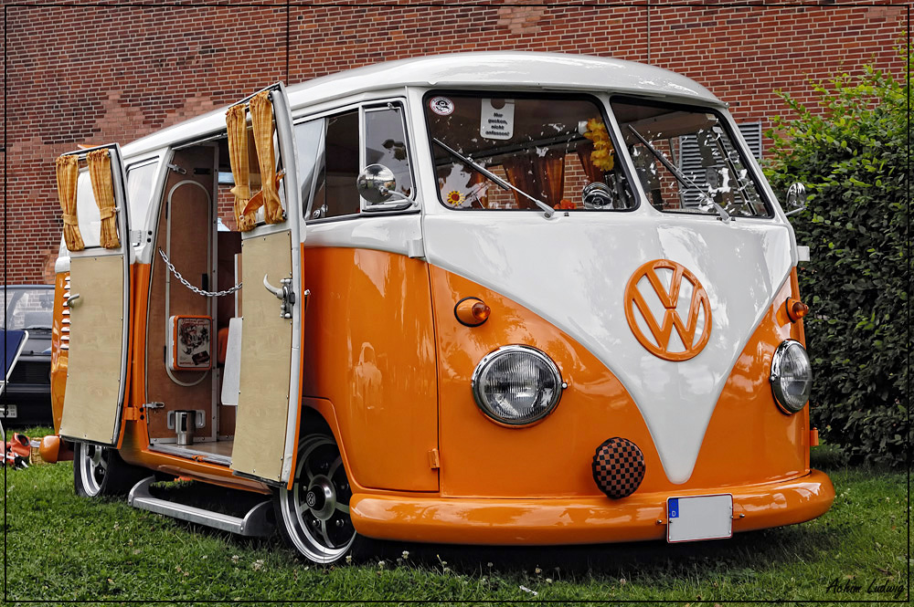 VW T1