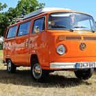 VW T2