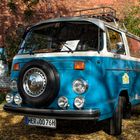 VW T2