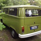 VW T2b