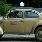 VW Wüstenfuchs