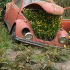 VW_Käfer_1302_P4270031