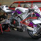 VYRUS DUCATI