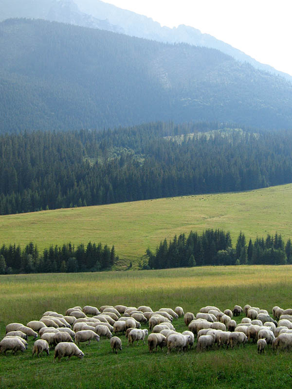 Vysoke Tatry, Slovakia