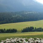 Vysoke Tatry, Slovakia