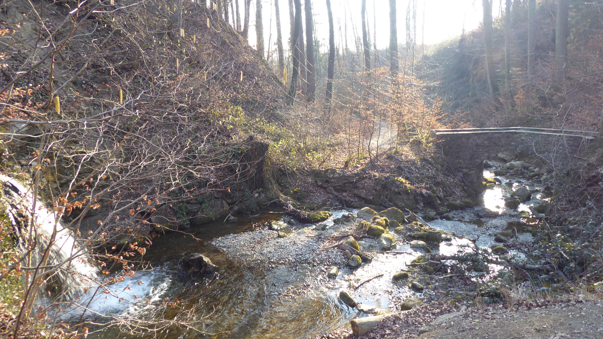 w-fall brücke meilen tobel