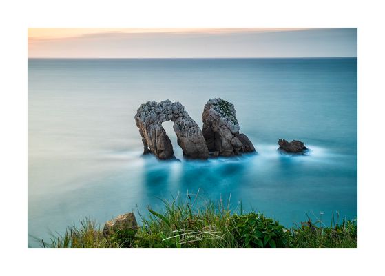 [ w h e r e w o r l d a l i g n ]