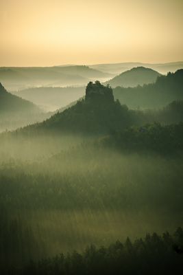 W I N T E R S T E I N 