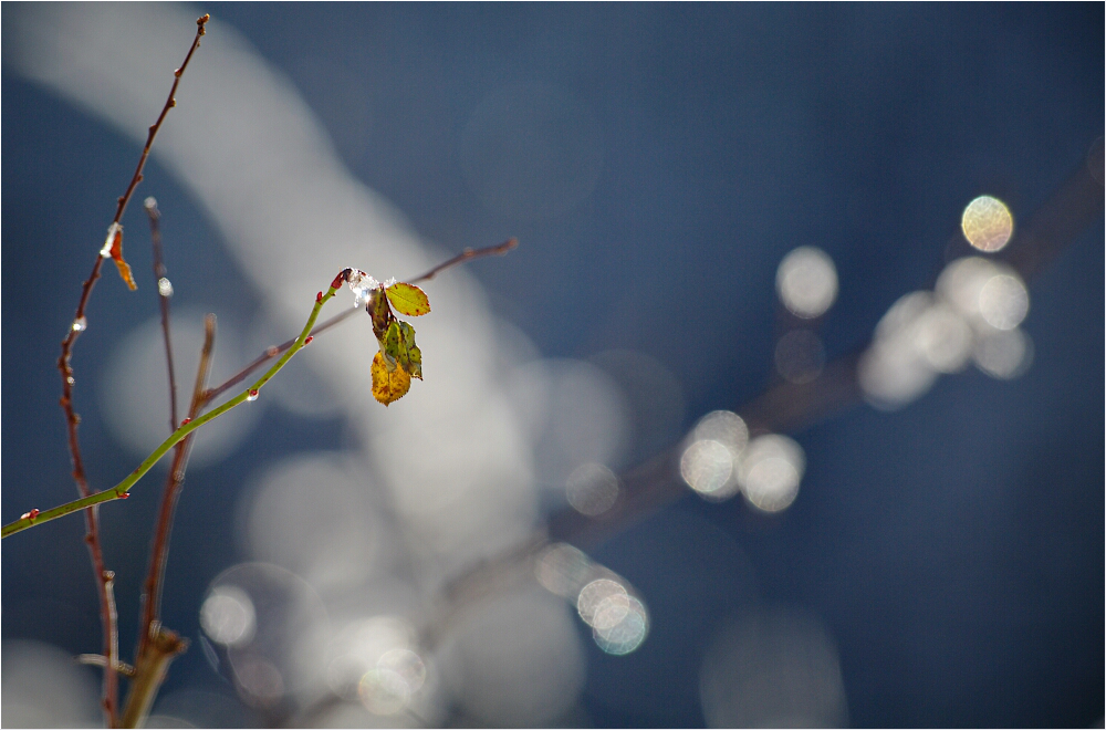 w i n t e r sonne