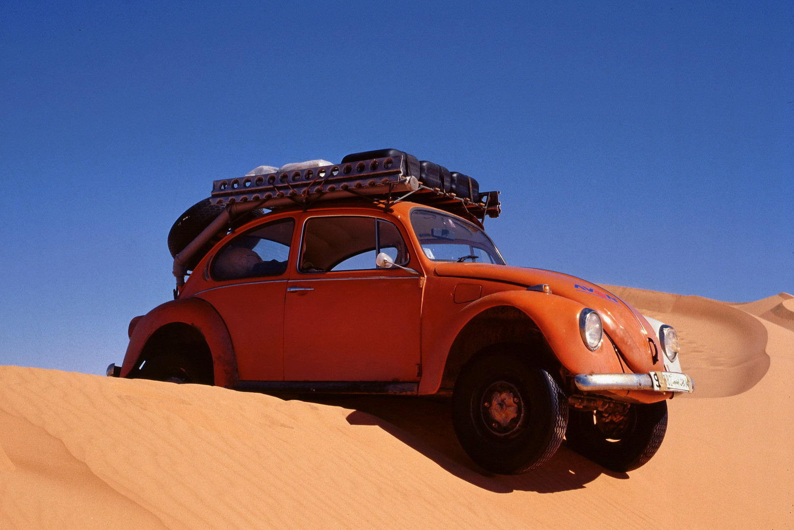 W U S T E N K A F E R Foto Bild Afrika Sahara Motive Bilder Auf Fotocommunity