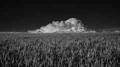 W, wie Wolken oder Wetterfront