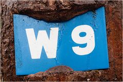 W9