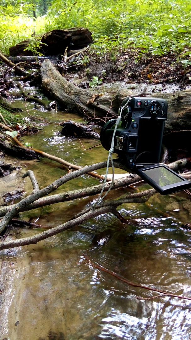 Waaaaas? Stativ in den Wald mitschleppen? Neee, das geht auch anders.....  :-)