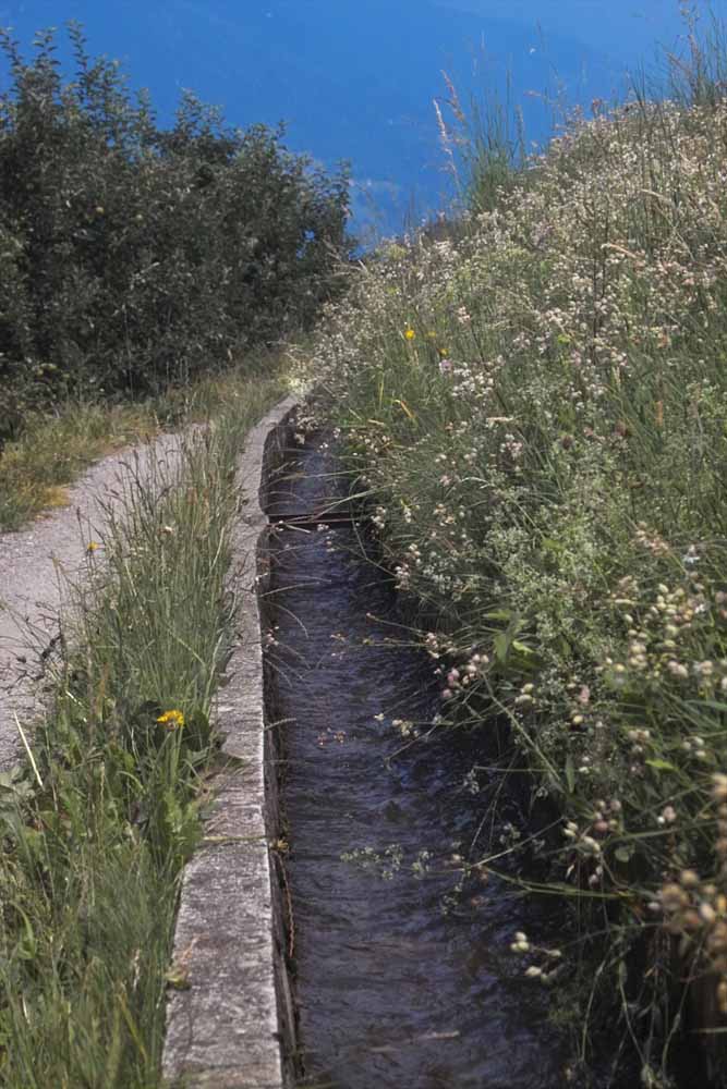 Waalweg bei Shenna in Südtirol