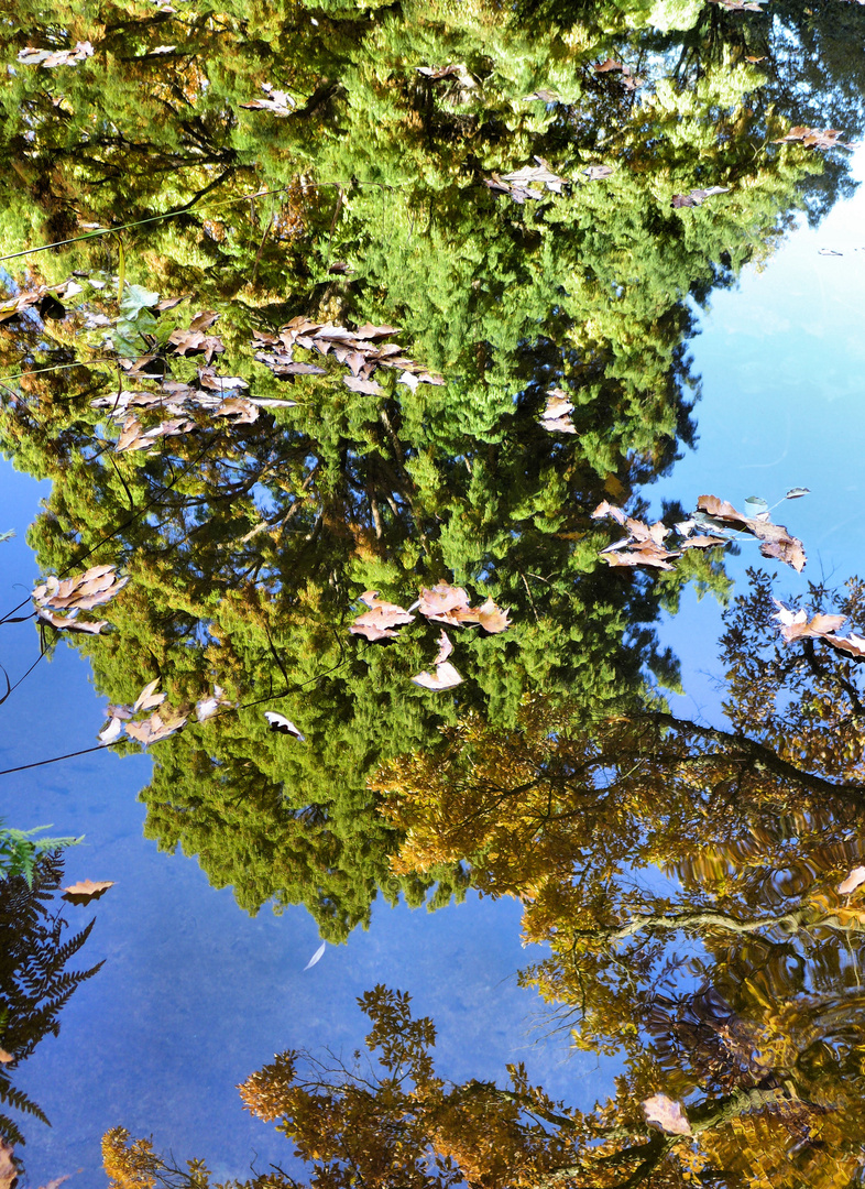 Waaserspiegelung im Herbst