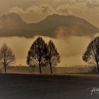 Wabernde Nebelschwaden am Morgen