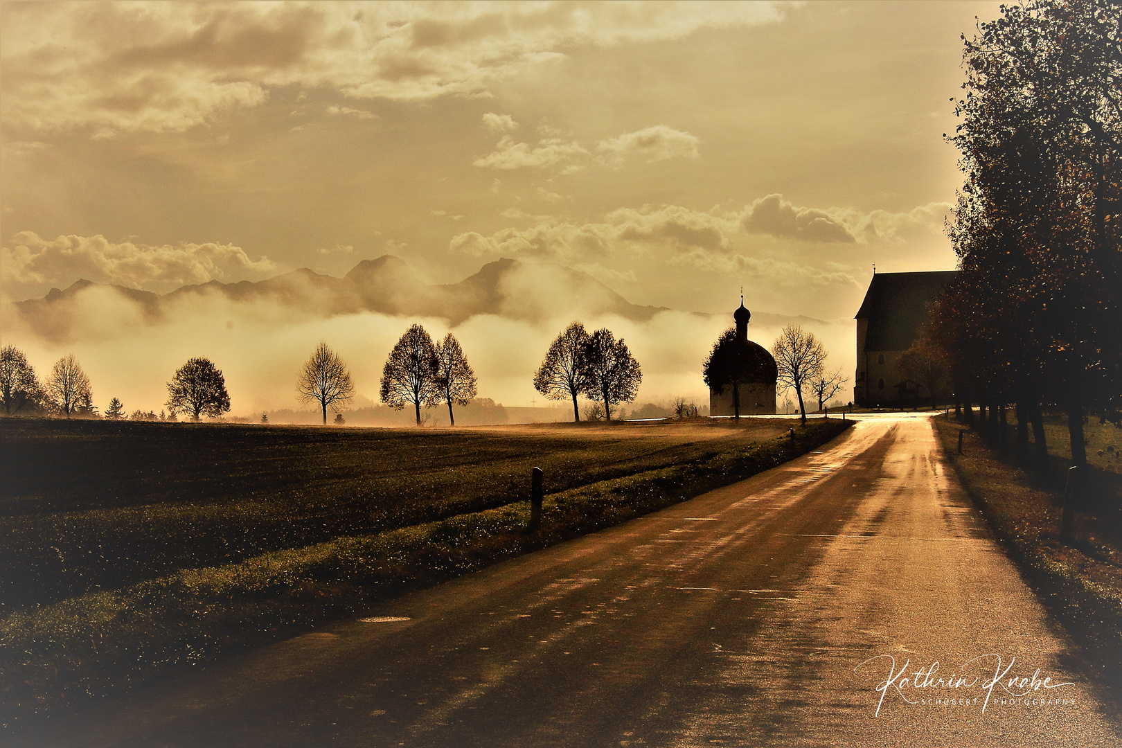 Wabernde Nebelschwaden am Morgen