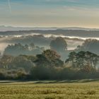 Wabernder Morgendunst