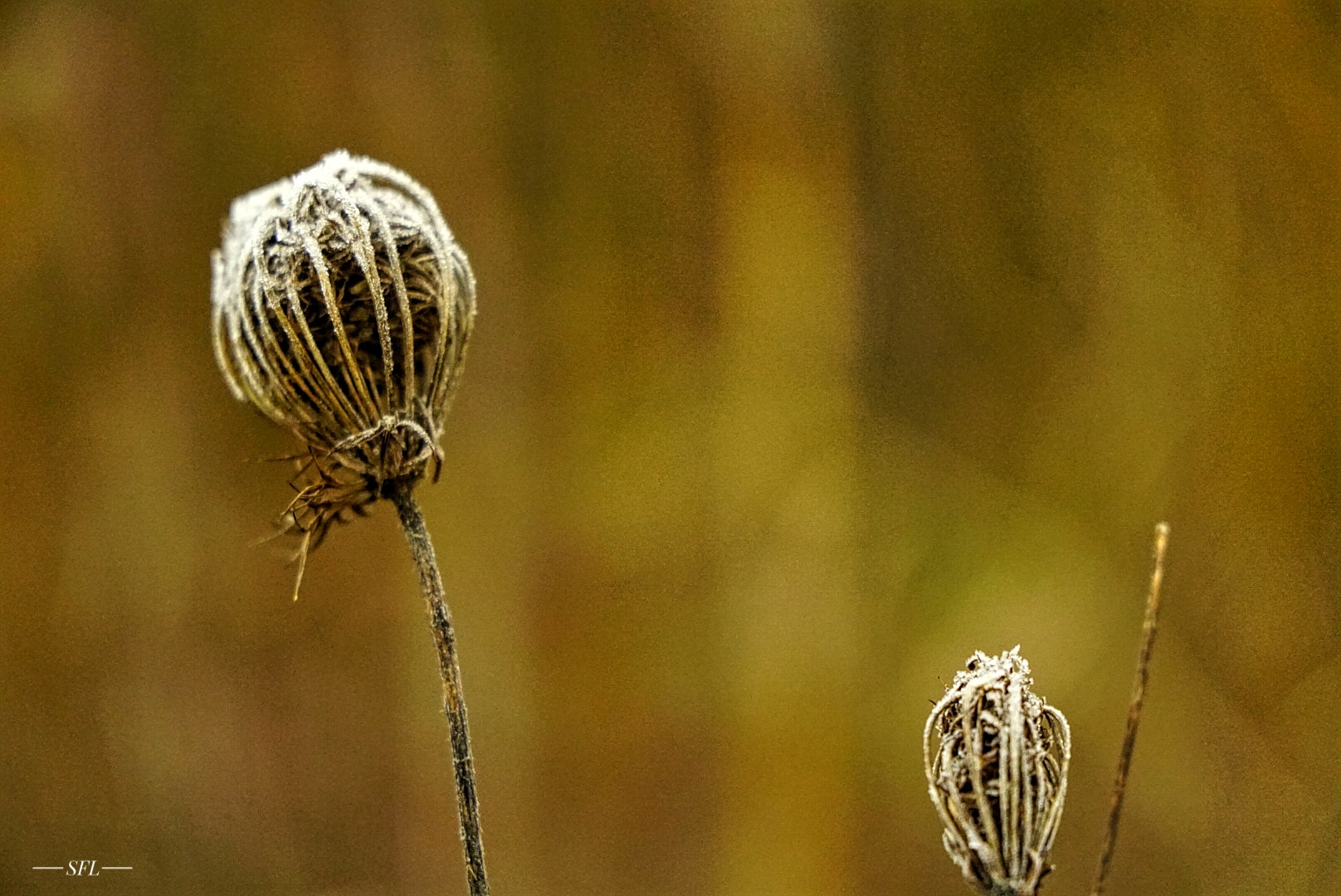 Wabi Sabi Foto & Bild italy, natur, italien Bilder auf