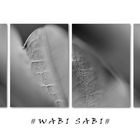 Wabi-Sabi ist ...