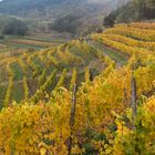 Wachau-024-25-1