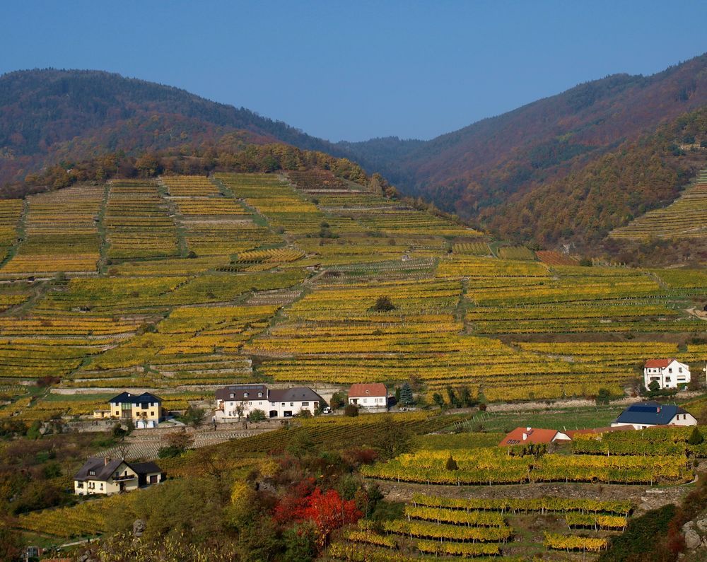 Wachau